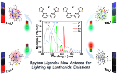 Tuning lanthanide luminescence from bipyridine-bis(oxazoline/thiazoline) tetradentate ligands 2024.100354